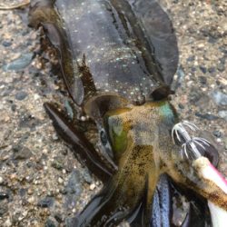 宮津西と浅茂川まで