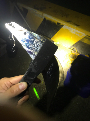 激シブタチウオ