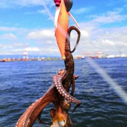 雨もやんでタコ