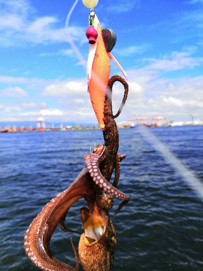 雨もやんでタコ