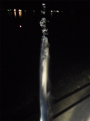 太刀魚初爆町釣