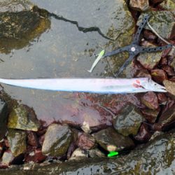 人混み避けて雨天決行