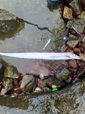 人混み避けて雨天決行