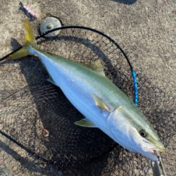 自転車で渡船まで…