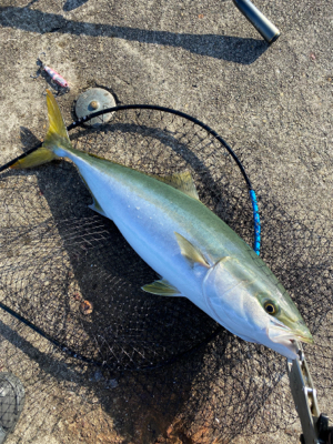 自転車で渡船まで…