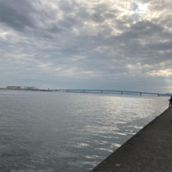 牙者退治のはずが