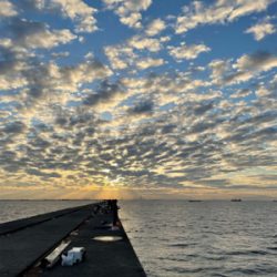 ショアジギング