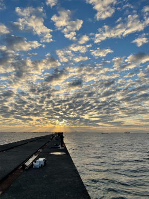 ショアジギング