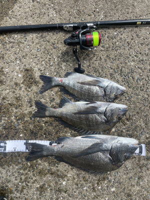台風の去ったあと