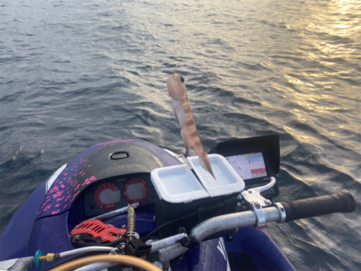 能登島付近で軽く遊びました