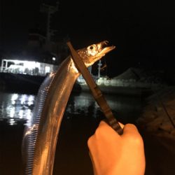 安定の釣果