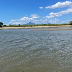 調子に乗って大物狙い