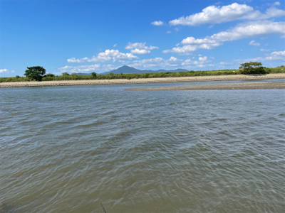 調子に乗って大物狙い