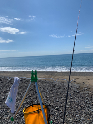 そろそろカツオ