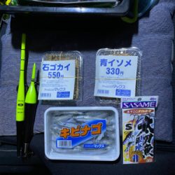 太刀魚、サビキ、ちょい投げ