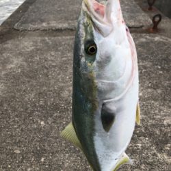 5度目にようやく！