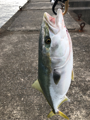 5度目にようやく！