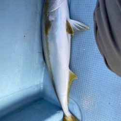 初めての、落とし込み体験