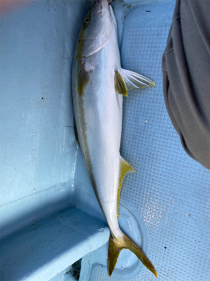 初めての、落とし込み体験