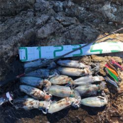 2021 佐渡ヶ島エギング 10回目