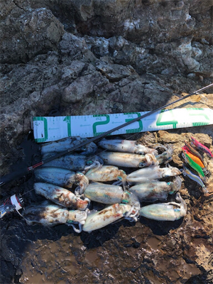 2021 佐渡ヶ島エギング 10回目