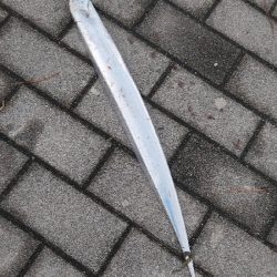 タチウオは少ないです。