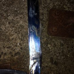 タチウオきてますねー