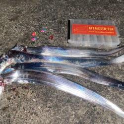 波止タチウオテンヤ