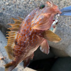 お祭り騒ぎに参加したけど…