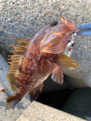 お祭り騒ぎに参加したけど…
