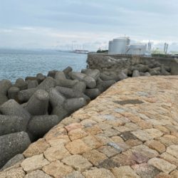 陸っぱりジギング