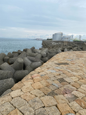 陸っぱりジギング