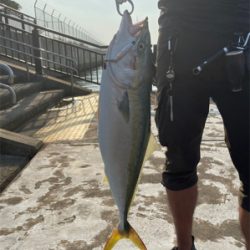 青物ラッシュ&人生初ブリ