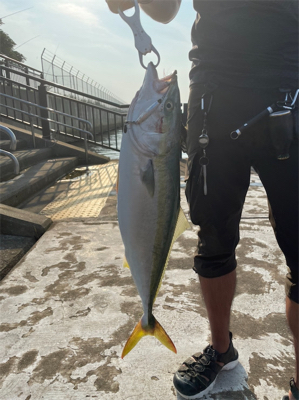 青物ラッシュ&人生初ブリ