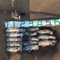 2021 佐渡ヶ島エギング  12回目