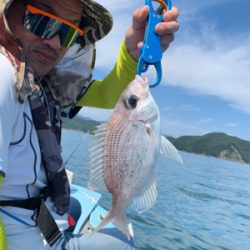 久しぶりの紀北でのボート釣行。