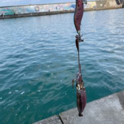 何とか1杯　坊主は免れた