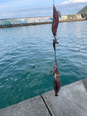 何とか1杯　坊主は免れた