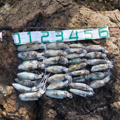 2021 佐渡ヶ島エギング 13回目