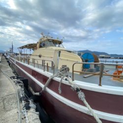 ナイトティップラン