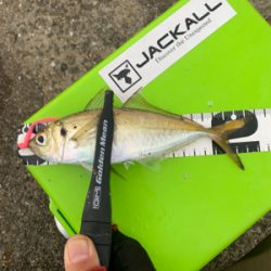 久々過ぎて大満足!