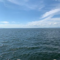 アタリが欲しくて❗️