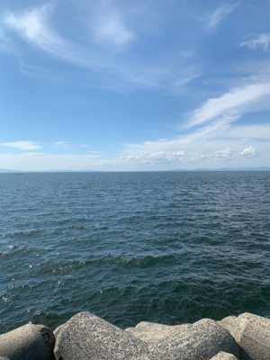 アタリが欲しくて❗️