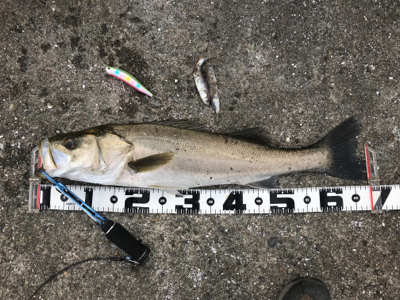 パターン変わって来たかな(>_<…