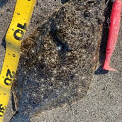 吹上浜サーフ五目釣