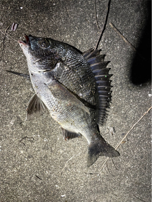 都市型河川パトロール