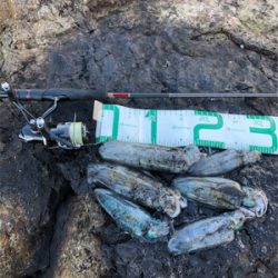 2021 佐渡ヶ島エギング