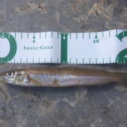 台風が来る前に