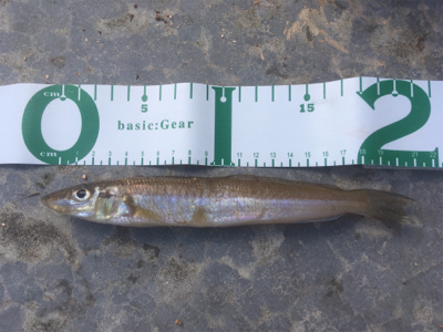 台風が来る前に