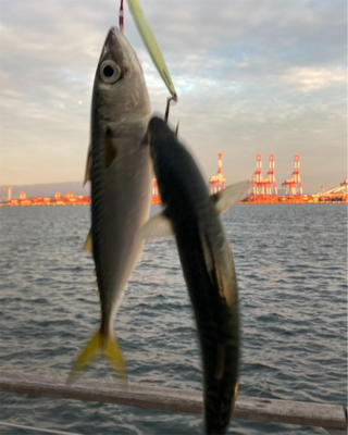 水質クリアなるも水潮っぽく。朝イチの中鯖の…